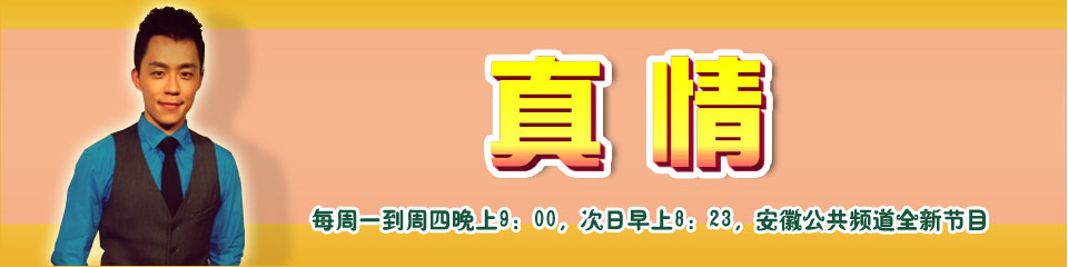 安徽公共频道特色栏目《真情》