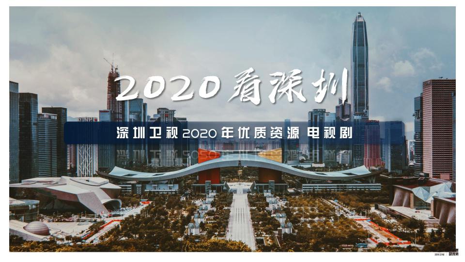 2009深圳卫视广告图片