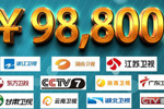 9.88W央视+卫视广告 11台联播套餐